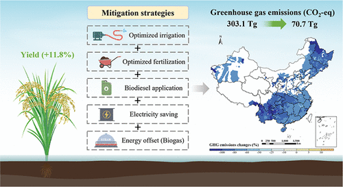 Toward Low-Carbon Rice Production in China: Historical Changes, Driving Factors, and Mitigation Potential