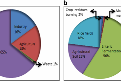 Greenhouse gas emission from rice fields: a review from Indian context