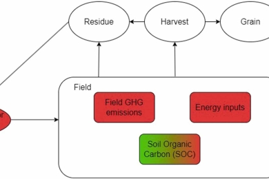 Opportunities for mitigating net system greenhouse gas emissions in Southeast Asian rice production: A systematic review