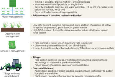 Greenhouse gas emissions and mitigation in rice agriculture