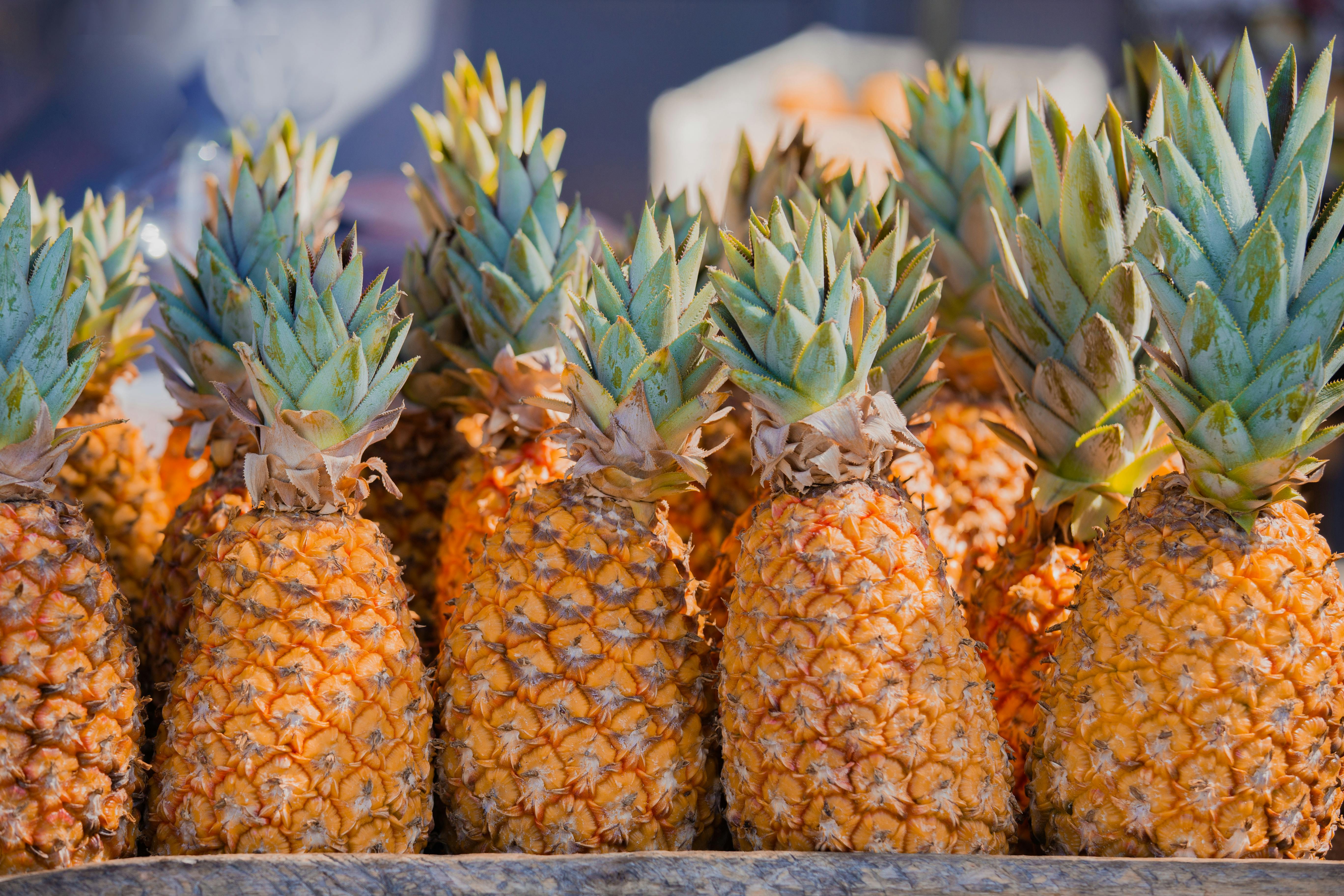 DA sees robust pineapple industry in PH; output to hit 3.12M MT