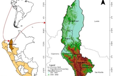 Land suitability for pitahaya (<span style="font-style:italic;">Hylocereus megalanthus</span>) cultivation in Amazonas, Perú: Integrated Use of GIS, RS, F-AHP, and PROMETHEE