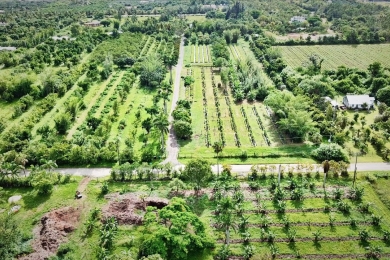 Carbon sequestration potential of tropical fruit trees