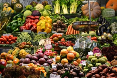 Sensing, adapting and thriving: how fruit crops combat abiotic stresses