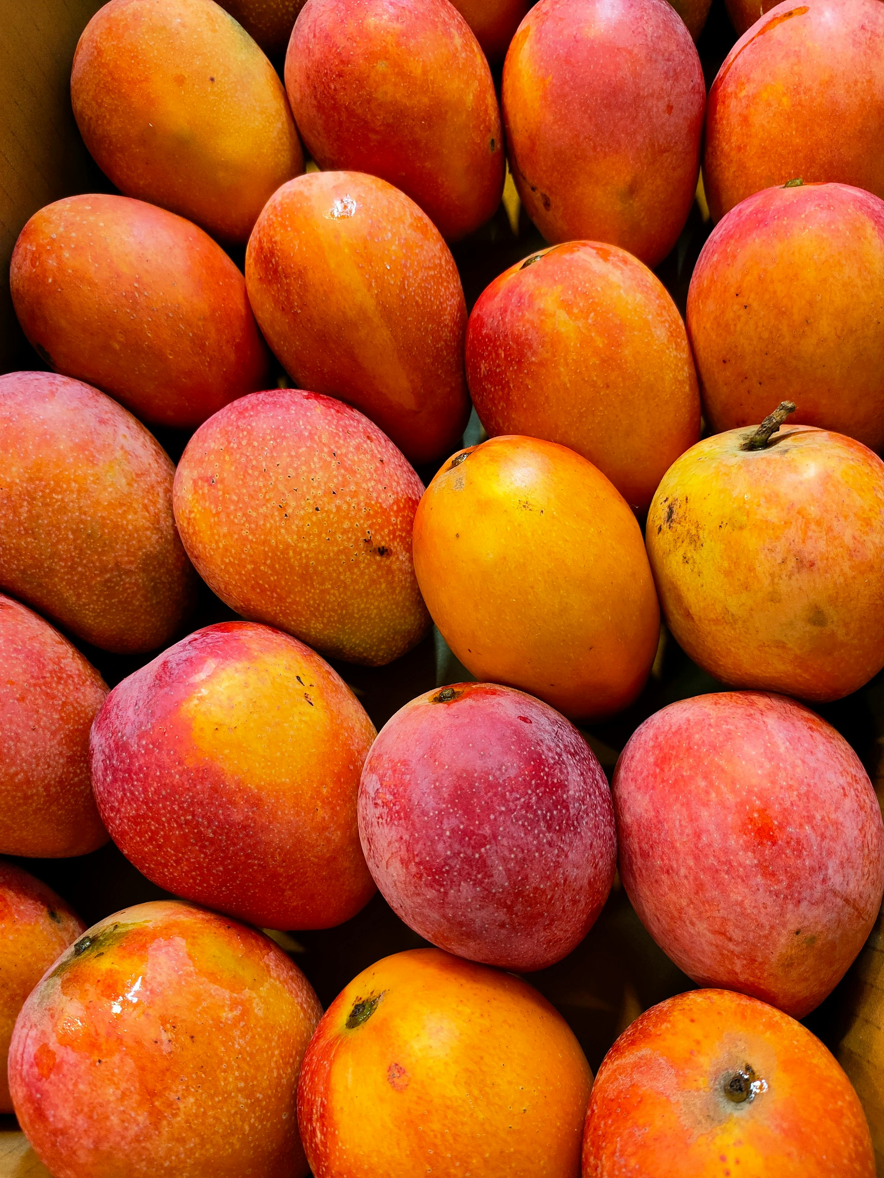 Mango market: U.S. imports projected up on increased supplies