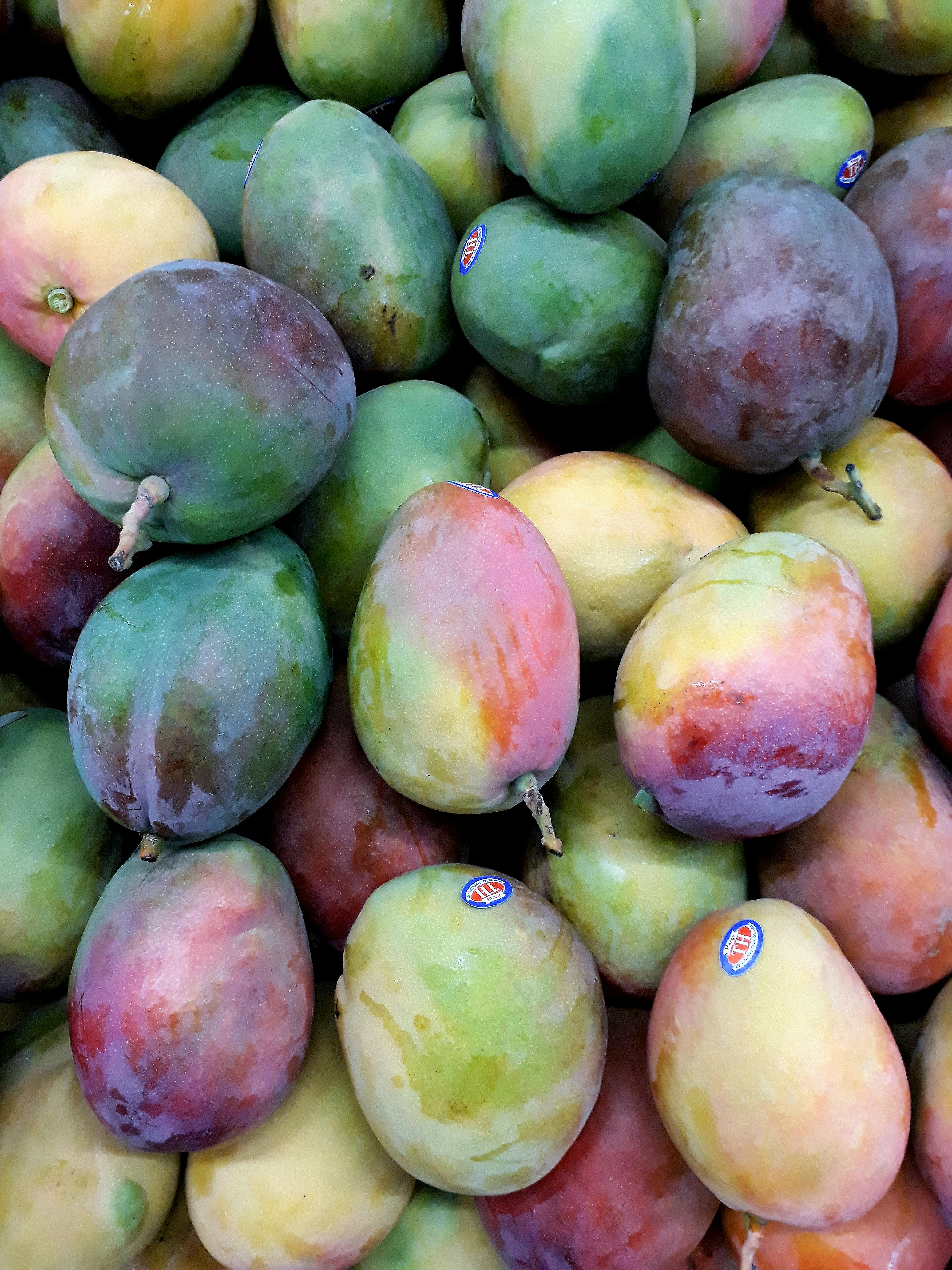 Harvest-ready mango crop hit by adverse weather in A.P.