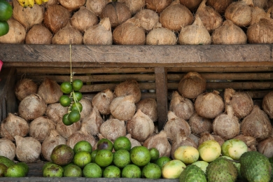 Supply crunch: Coconut rates double, hit Rs 45-50 per piece
