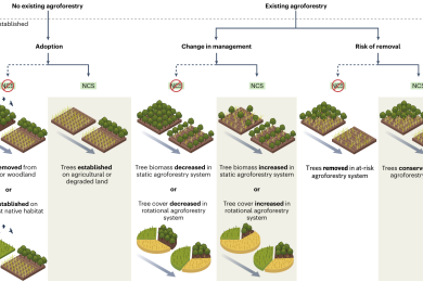 Priority science can accelerate agroforestry as a natural climate solution
