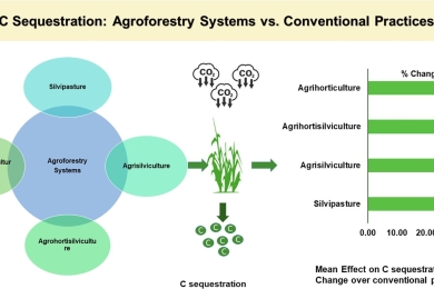 Carbon sequestration potential of agroforestry systems in Indian agricultural landscape: A Meta-Analysis