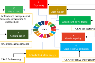 Climate-smart agroforestry systems and practices: A systematic review of what works, what doesn’t work, and why