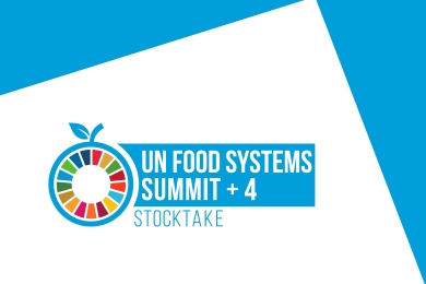 UN Food Systems Summit +4 Stocktake (UNFSS+4)