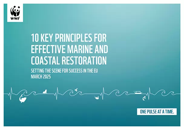 WWF: 10 Key Principles for Effective Marine and Coastal Restoration