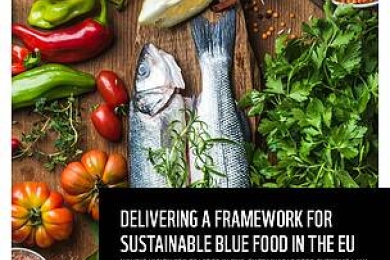 WWF: Delivering a Framework for Sustainable Blue Food in the EU