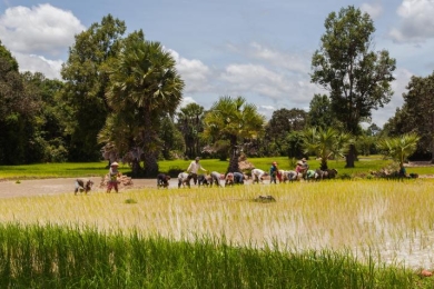 In a warming world, agriculture must be at the heart of climate and clean air action