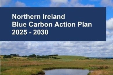 Muir launches Northern Ireland’s first Blue Carbon Action Plan
