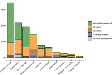Future carbon emissions from global mangrove forest loss