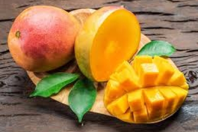 Nutritional potency of <span style="font-style:italic;">Mangifera indica </span>L. (Mango): Focus on mango as antioxidant