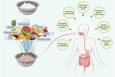 Incorporation of fruits or fruit pulp into yoghurts: recent developments, challenges, and opportunities