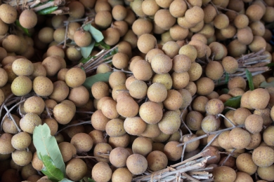 How fruit prices soared for farmers