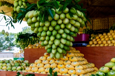 The mango market in India: A summer season economic analysis