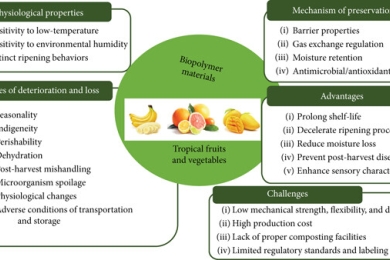 Biopolymer application for preservation of tropical fruits and vegetables