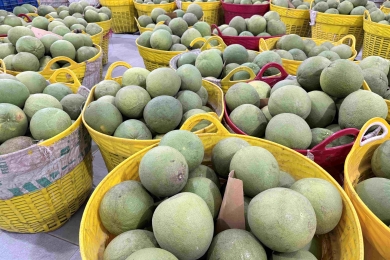 Securing the Tambun pomelo identity