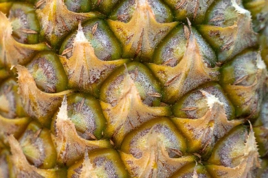 From waste to wonder: The pineapple peel story