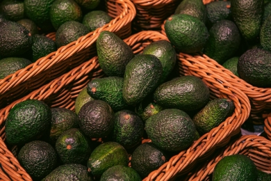 Murang'a farmers to start exporting avocado fruits through Sh70m aggregation center
