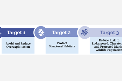 SBTN launches first ocean science-based targets for seafood