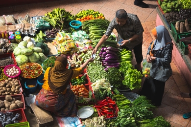 Exploring climate change impacts on food security in Maldives