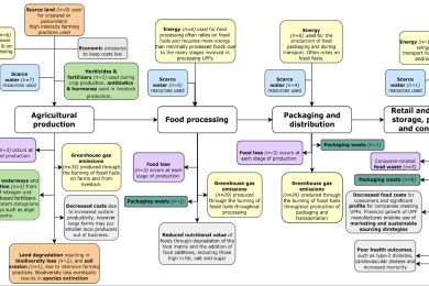A conceptual framework for understanding the environmental impacts of ultra-processed foods and implications for sustainable food systems