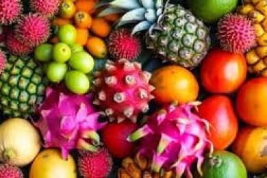 Production of sustainable tropical fruit is linked to the preservation of natural vegetation in Bahia/Brazil