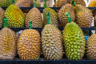 Farmers in Malaysia’s Penang urged to register for durian tracking system as local varieties tastier than Black Thorn appear