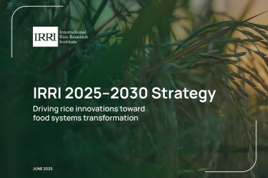 IRRI 2025-2030 Strategy