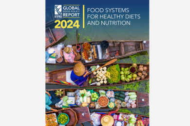 Global Food Policy Report 2024: Food Systems for Healthy Diets and Nutrition