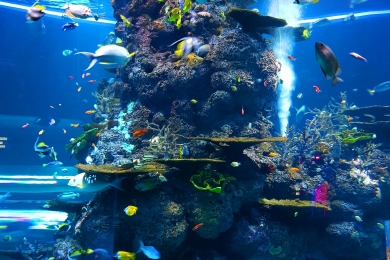 UK government gathers business and environment leaders in support of UN nature agreement