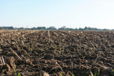 Microsoft (MSFT) signs 2.6 million soil carbon credit deal with Agoro Carbon to meet its net zero goals