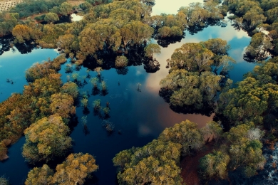 EU considers non-EU carbon credits in push for 90% emissions cut by 2040