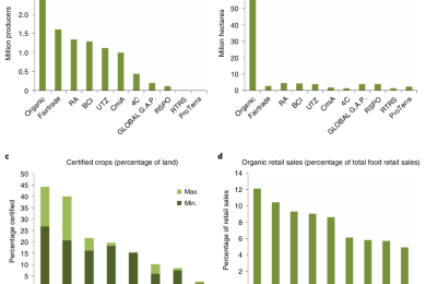 Sustainability standards in global agrifood supply chains