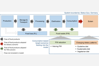 Eating healthy or wasting less? Reducing resource footprints of food consumption