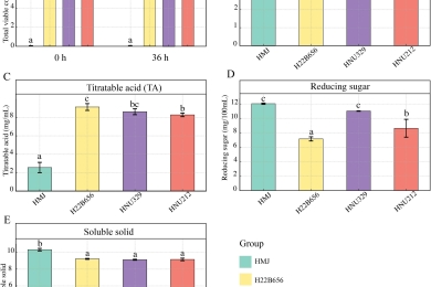 Enhancing functional properties and analysis of sugar and metabolite composition of <span style="font-style:italic;">Hylocereus megalanthus </span>juice through <span style="font-style:italic;">Bifidobacterium </span>fermentation