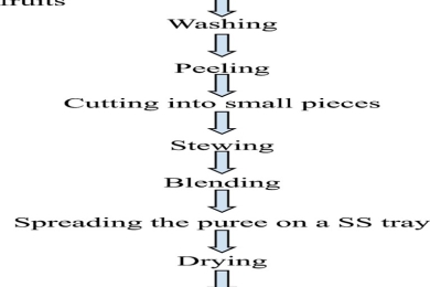 Development and evaluation of physicochemical, sensory, and microbiological properties of fruit leather from underutilized tropical fruits