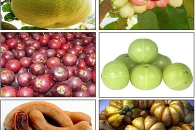 Underutilized fruits as economic lifelines in India: A review