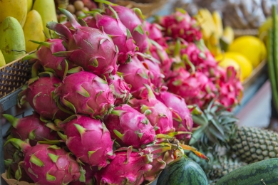 Could dragon fruits be Pakistan’s next big export opportunity?