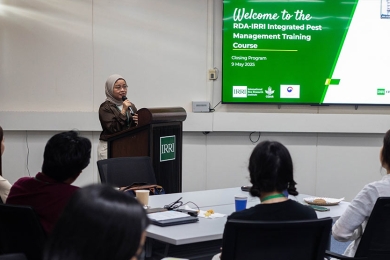 RDA-IRRI champions climate-smart pest management for sustainable rice production