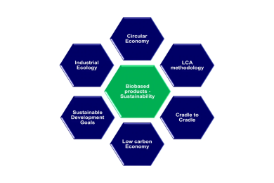 Biobased products and life cycle assessment in the context of circular economy and sustainability