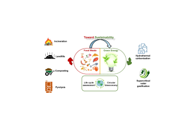Conversion of food waste to energy: A focus on sustainability and life cycle assessment