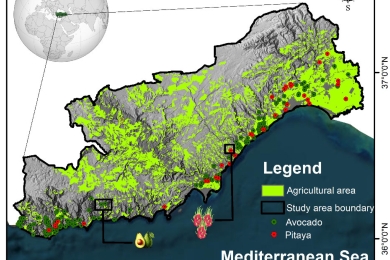 Predicting climate change impacts on sub-tropical fruit suitability using MaxEnt: A regional study from Southern Türkiye