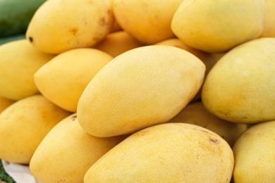 Federation set to tackle mango price decline