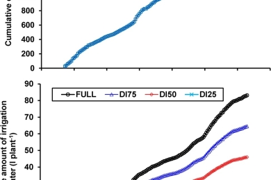 Prospects of training system and deficit irrigation for increasing yield and water use efficiency of pitaya (<span style="font-style:italic;">Hylocereus</span> spp.) in the Mediterranean region